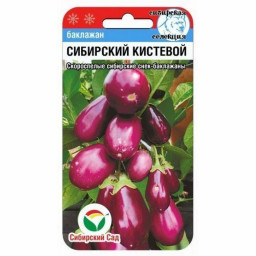 Баклажан Сибирский кистевой 20шт СИБИРСКИЙ САД