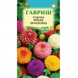 Георгина Яркие помпоны 0,2гр ГШцветы