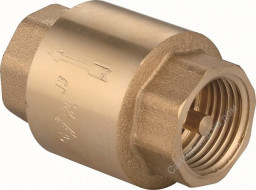 Клапан обратный пружинный 1"