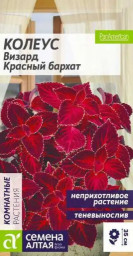 Колеус Визард Красный бархат Семена Алтая