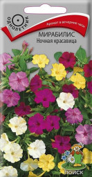 Мирабилис Ночная красавица 2,5гр Поиск