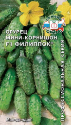 Огурец Филиппок F1 0,3гр СеДеК