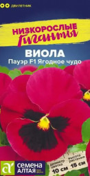Виола Пауэр Ягодное чудо F1 Семена Алтая